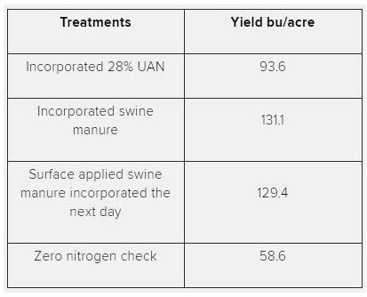 Incorporating Surface Applied Manure on Corn